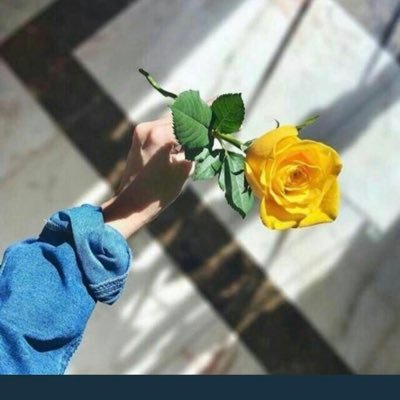 hooda11_'s profile picture. ❉ من يستحق لقب إنساَن هو من يراعي مشاعر الآخرين و يحسب كل كلمة قبل أن ينطق بها لأنه يدرك أثر كلماته في قلوب الآخرين 💙💙💙💙 https://t.co/Q1SmoWkTTj