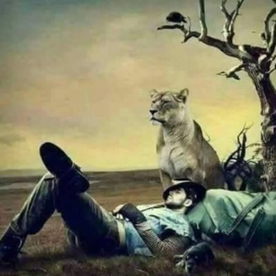 AzizElhetta's profile picture. 