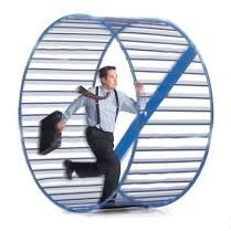 davedavefahy's profile picture. 