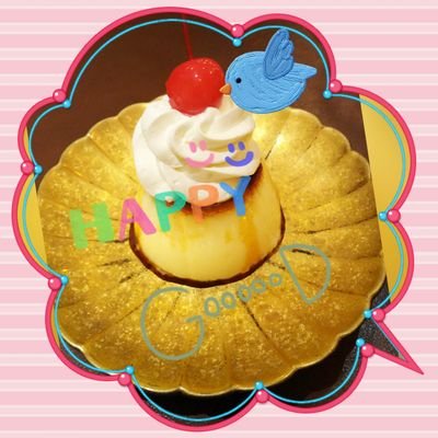 ノースウェア - Search / X