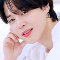 PARK JIMIN (@jiminie_up) 's Twitter Profile