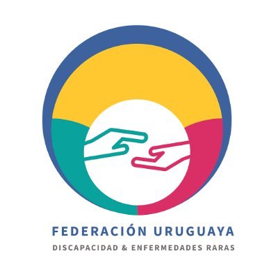 Somos la Federación Uruguaya de la Discapacidad y Enfermedades Raras (FUDI). Creada para representar y fortalecer a las instituciones que la integran.