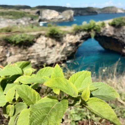 ridhaoc95's profile picture. Enjoy the moment