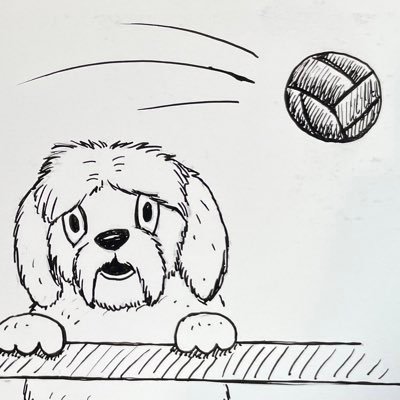 ToffeesTours's profile picture. Runner, ground-hopper, non-league enthusiast. local music. Dedicated to my little dog. Oh and the  love & pain that is Everton.