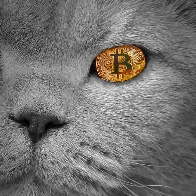 Pinkiara's profile picture. 