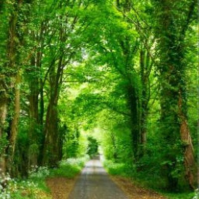 AZADSINGH1235's profile picture. DHILLON