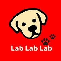Lab Lab Lab🐾(@xoxo111xoxo2) 's Twitter Profileg