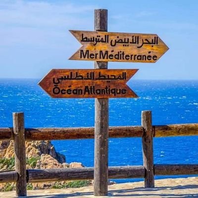 lech_moha's profile picture. 