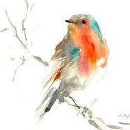 MrsTRobins12's profile picture. Northern KS1 Class Teacher