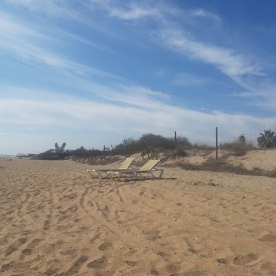 MaiteSantro's profile picture. 