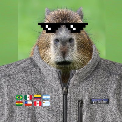 venturecapybara Profile Picture