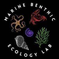 Marine Benthic Ecology Lab(@marbel_uct) 's Twitter Profileg