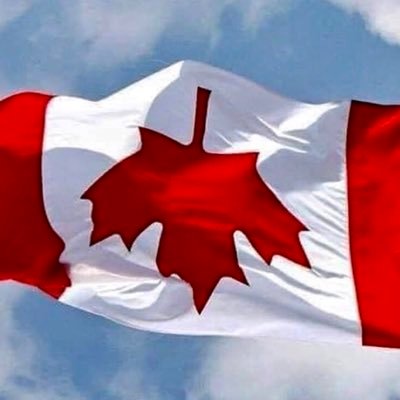 Peter22464765's profile picture. 