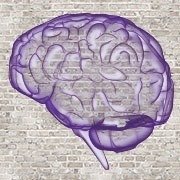 LearningRx identifies and strengthens the skills behind HOW individuals learn and perform—using one-on-one brain training to strengthen cognitive skills.