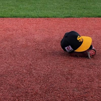 水泳👙野球⚾️食べたもの😋温泉♨️など       ほぼ備忘録🍃