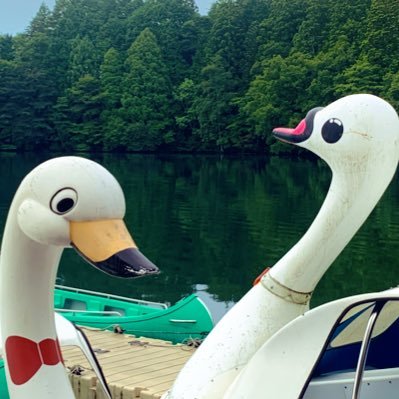 zerikochaan's profile picture. キャンピングカーであちこち行ってます/他趣味垢（ほぼ最近野球観戦）→ゆきまーる@5zeri5tan5/よろしくお願いいたします🍀