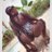 _BriTheDon's profile image