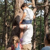 Nick Wybouw (@nwybouw) Twitter profile photo