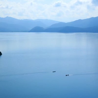 sos_to_moon's profile picture. BTC ETH DOT