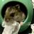 newnissy's profile image