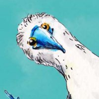 CalmeMara Verlag (@calmemara) Twitter profile photo