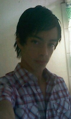 torres_fenix's profile picture. 