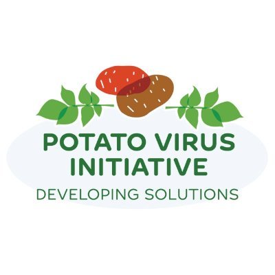We are a research-based program focused on potato virus management solutions. #PVY #PMTV