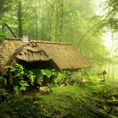 « Nous n’héritons pas de la terre de nos ancêtres, nous l’empruntons à nos enfants ». Wendell Berry. Quand tu as compris cela, ta vie change.