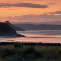 Joljo (@joljo2021) 's Twitter Profile