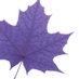 Faculty of Liberal Arts (@laurierfla) Twitter profile photo Faculty of Liberal Arts (@laurierfla) Twitter profile photo