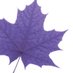 Faculty of Liberal Arts (@LaurierFLA) Twitter profile photo