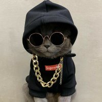 Arthadiasa (@arthadiasa) 's Twitter Profile