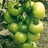 Agricultura1's profile image