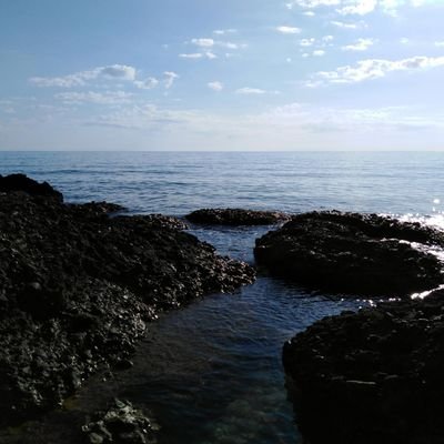 TeresaG15628842's profile picture. Le critiche