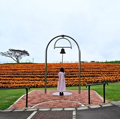 写真を撮るのが好きです🍀
お花が好きで、花言葉を使いながら
ツィートしてます
一番好きなのは、天の川🌌

                                                 愛用機種Nikon