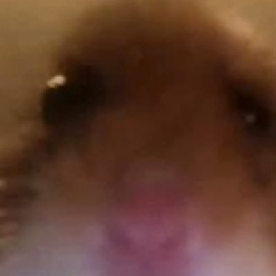 shiftchange3's profile picture. Idk