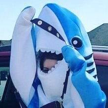 Just a lady-sharky hidden in a hooman costume that enjoys silliness and nonsense, with a sprinkle of mischief. https://t.co/gYny52SDDh