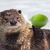 Tineke Bolleman (@direottergames) Twitter profile photo Tineke Bolleman (@direottergames) Twitter profile photo
