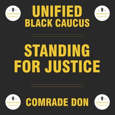 Civil Rights Activist, Consultant, Founder & President: #UnifiedBlackCaucus,(@UCaCus):Standing For Justice, Podcast Host,  #VOCALNY(CRU)