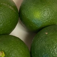 負け犬野郎NO.1 (@no1makeinu) 's Twitter Profile Photo