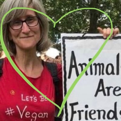 Big Fan of ThatVeganTeacher 💚