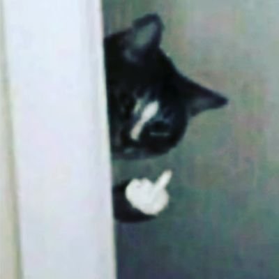 SilkyCode3's profile picture. Hello : )