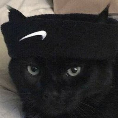 Vecchi_S2's profile picture. a