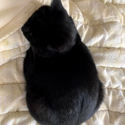 いろはさんのプロフィール画像