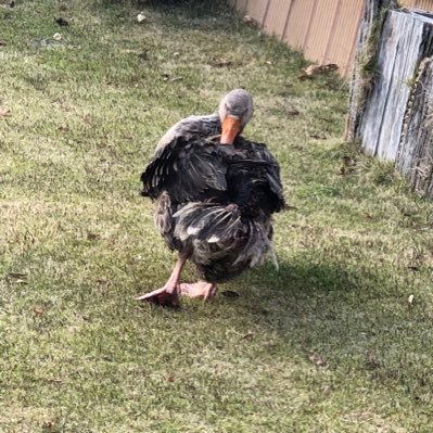 skri_9's profile picture. 東美専→早大→リーマン。 28歳。仙台/東京