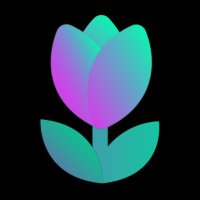Tulip Protocol (@solfarmio) 's Twitter Profile