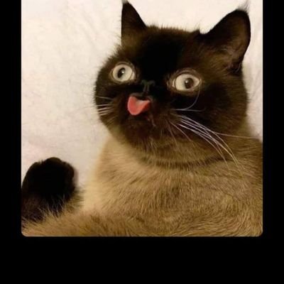 irving_morrison's profile picture. larga vida al rock