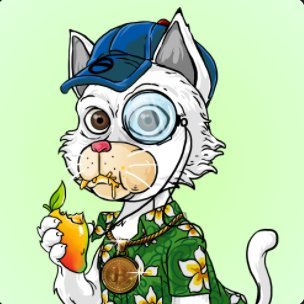 catt_crypto's profile picture. #gm. All roads lead to Bitcoin. 
#STRONG, #SOL, #BTC 
I am a team and profit maxi. 
NFA