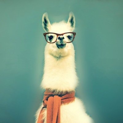 tomikaa87's profile picture. 