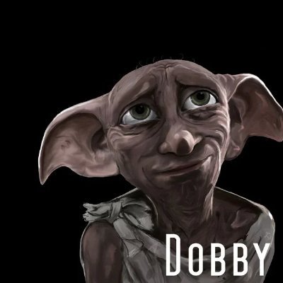 Doba_Dobby Profile